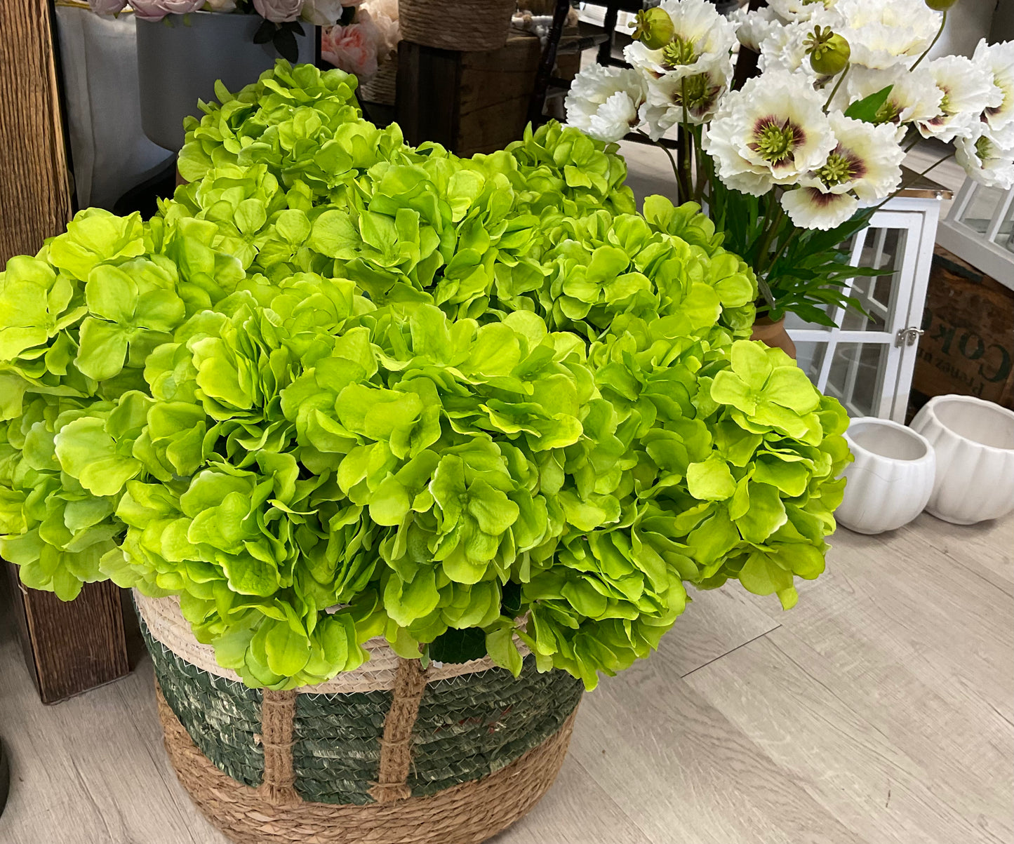 Green Hydrangea Bush