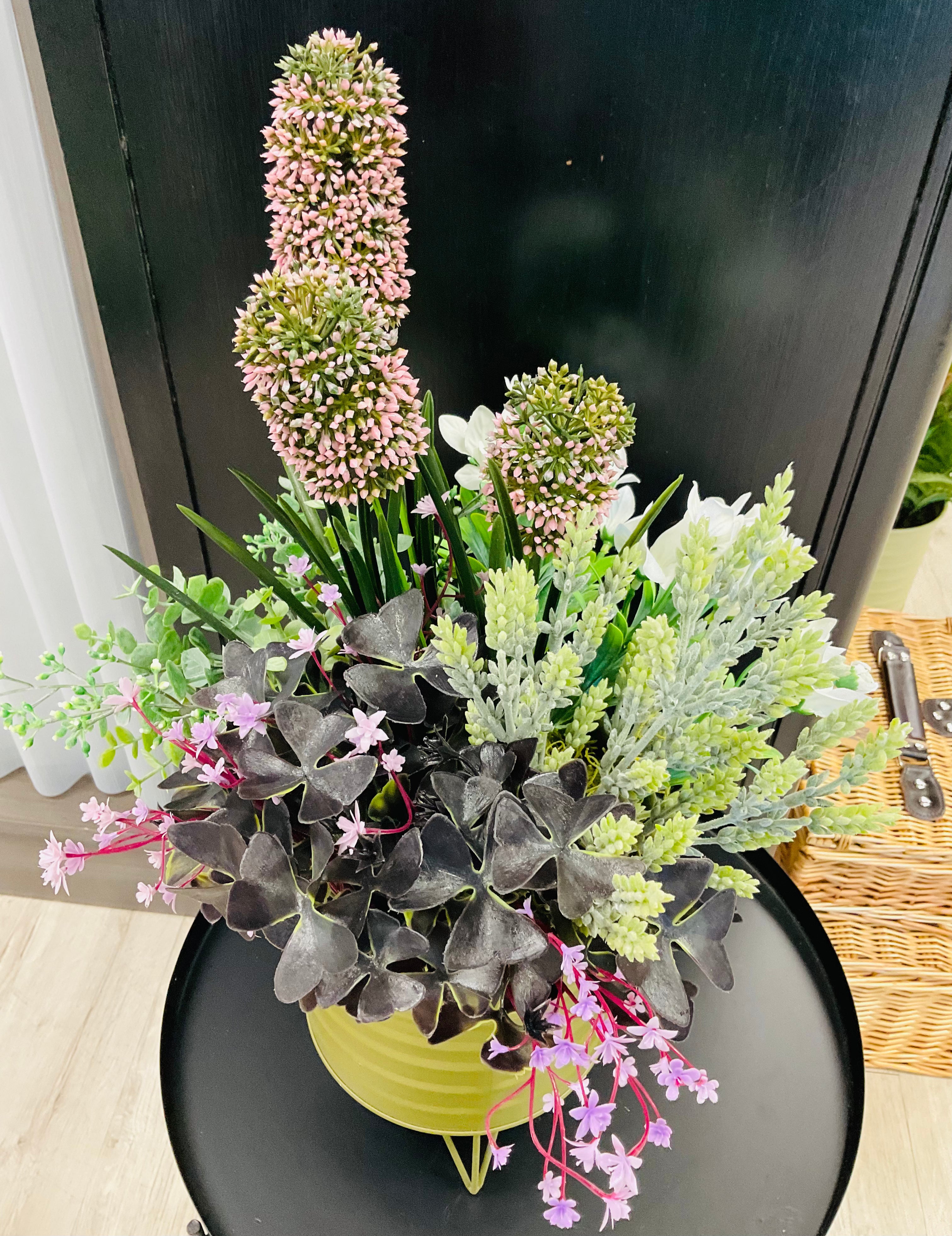 Plum Oxalis Planter