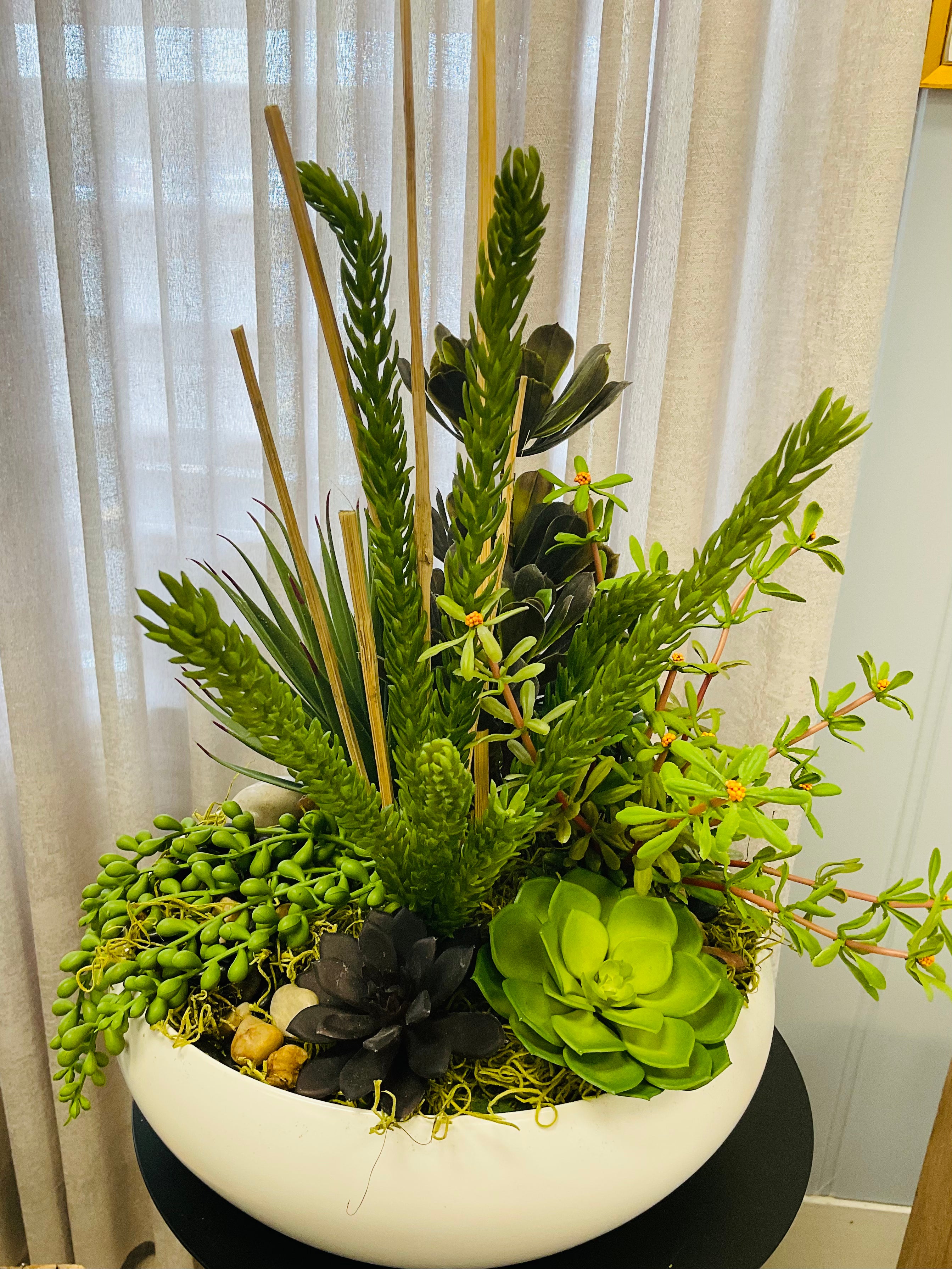 Succulent Garden Bowl