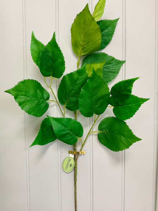Mulberry Leaf Spray