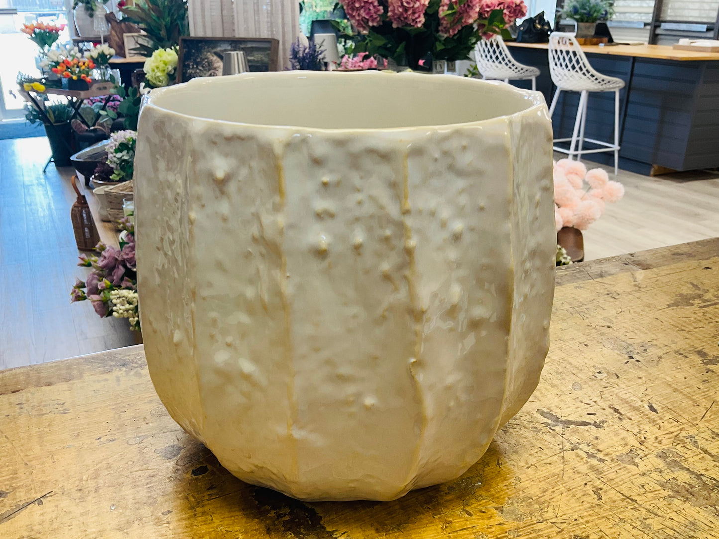 Beechwood Pot