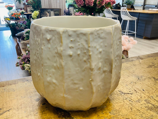 Beechwood Pot