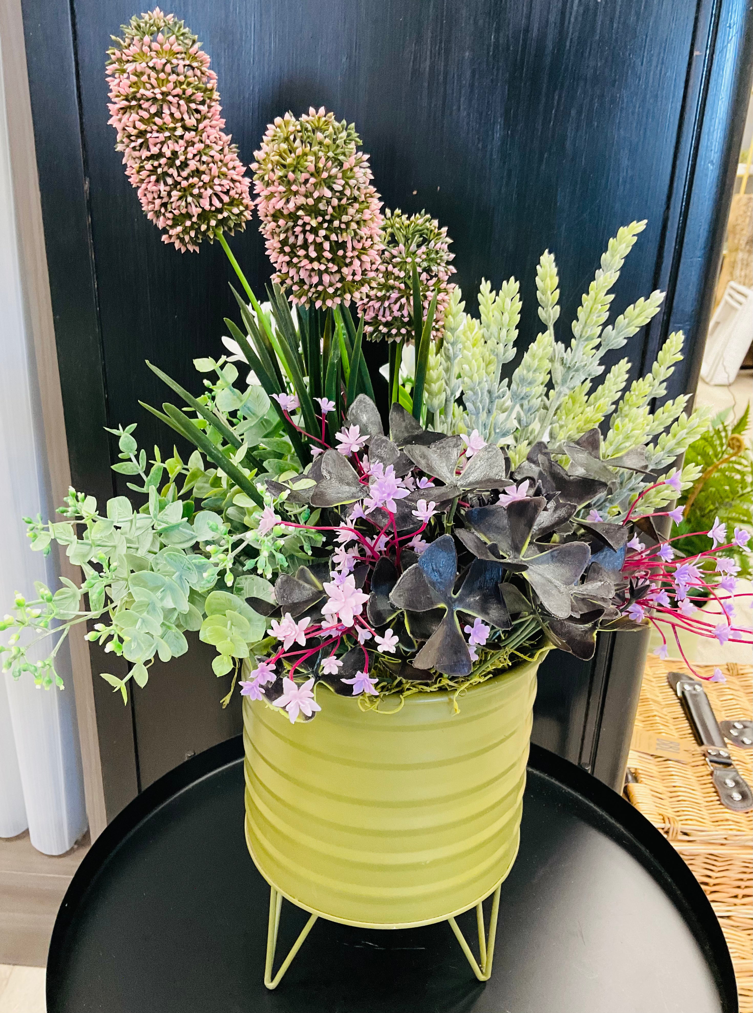 Plum Oxalis Planter
