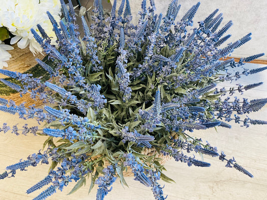 Lavender Bush