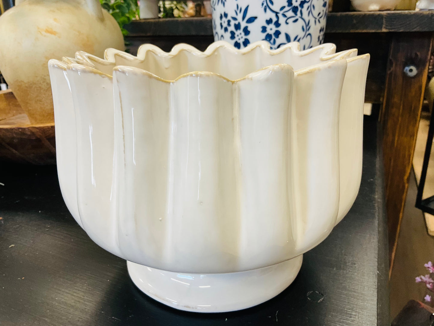 Tulipa Compote Large