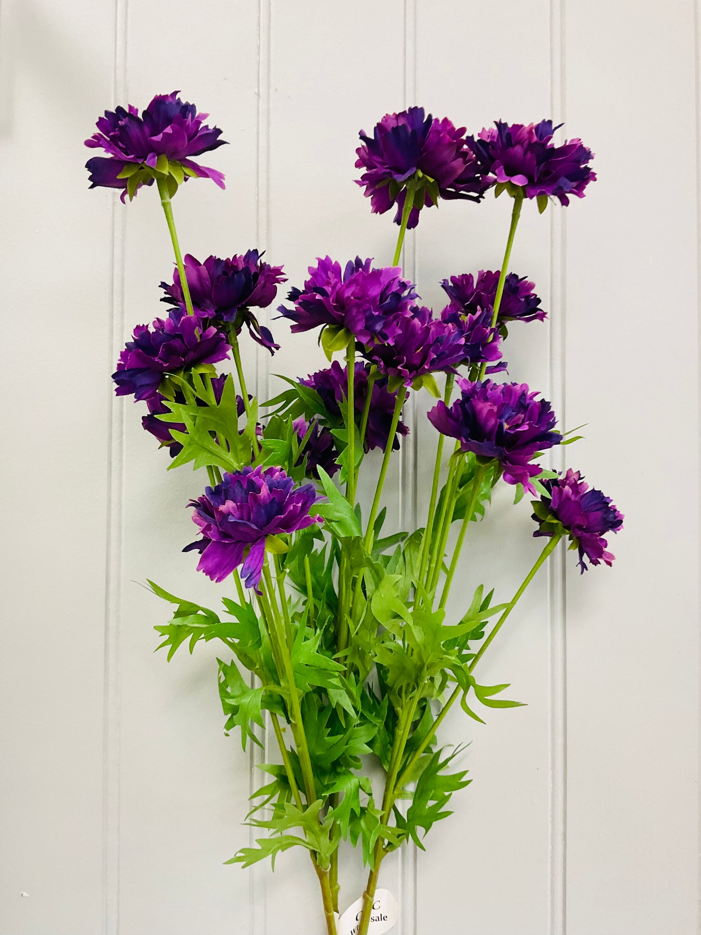 Ruffle Cosmos Bush 20″ – Purple