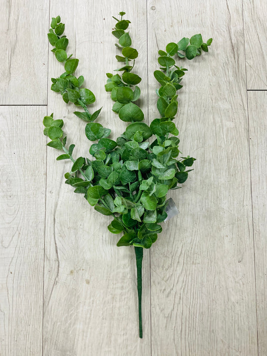 Fresh Touch Eucalyptus Bush