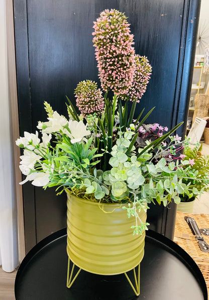 Plum Oxalis Planter