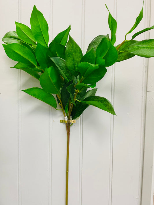 Lemon Leaf Spray 27''