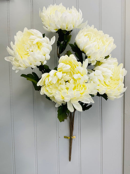 White Football Mum Bush