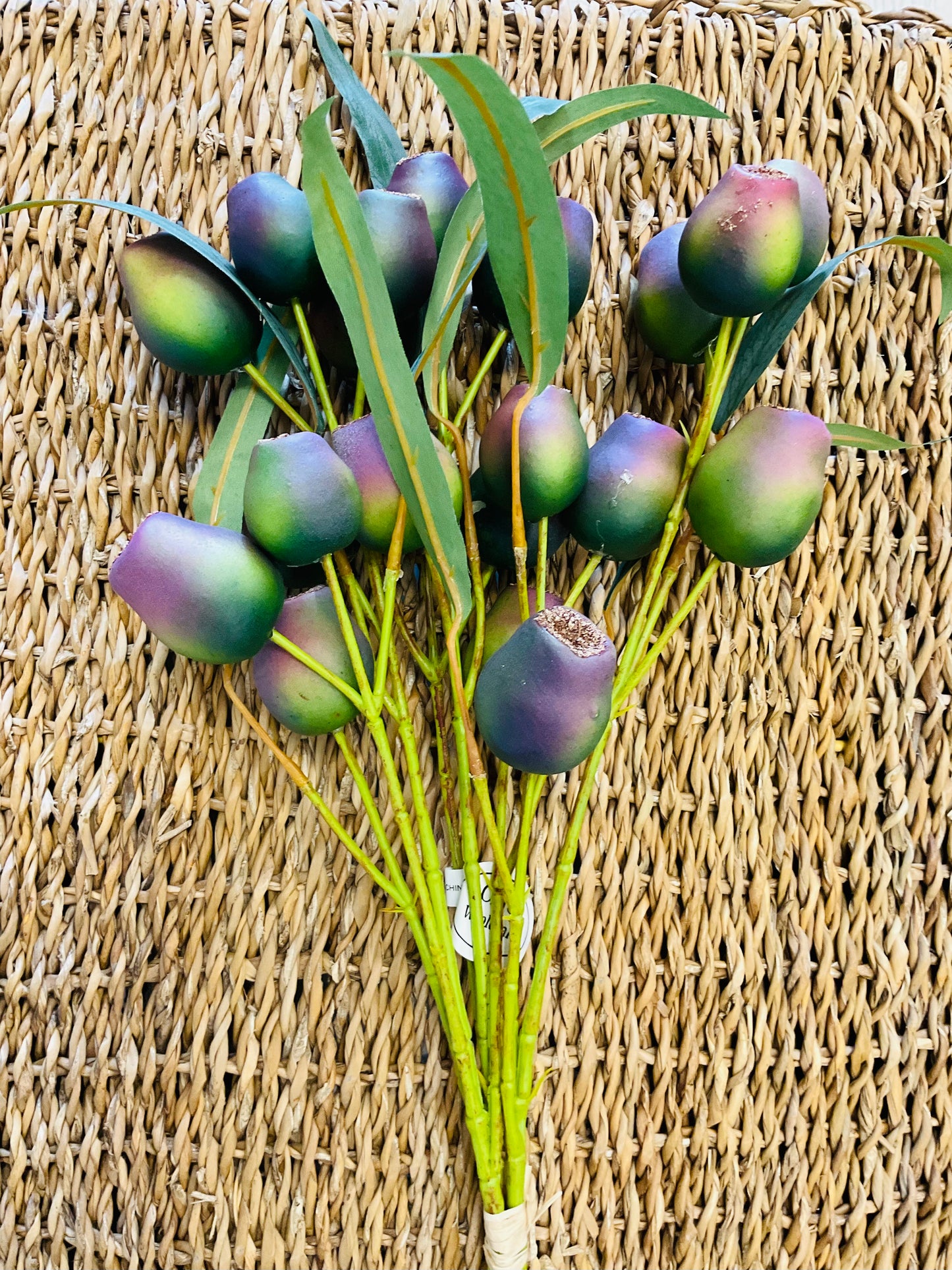 Pod Bundle - Purple Green