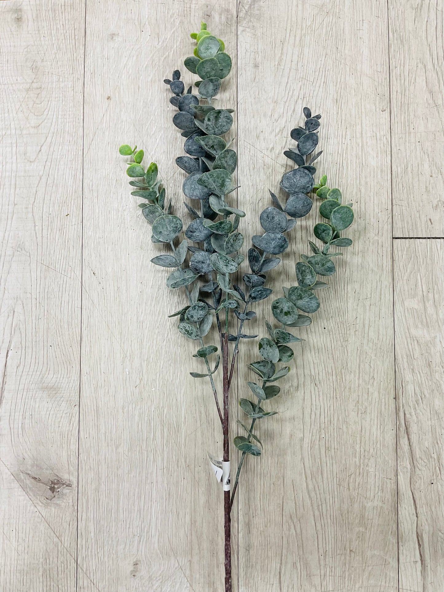 Blue Green Eucalyptus Spray - 28”