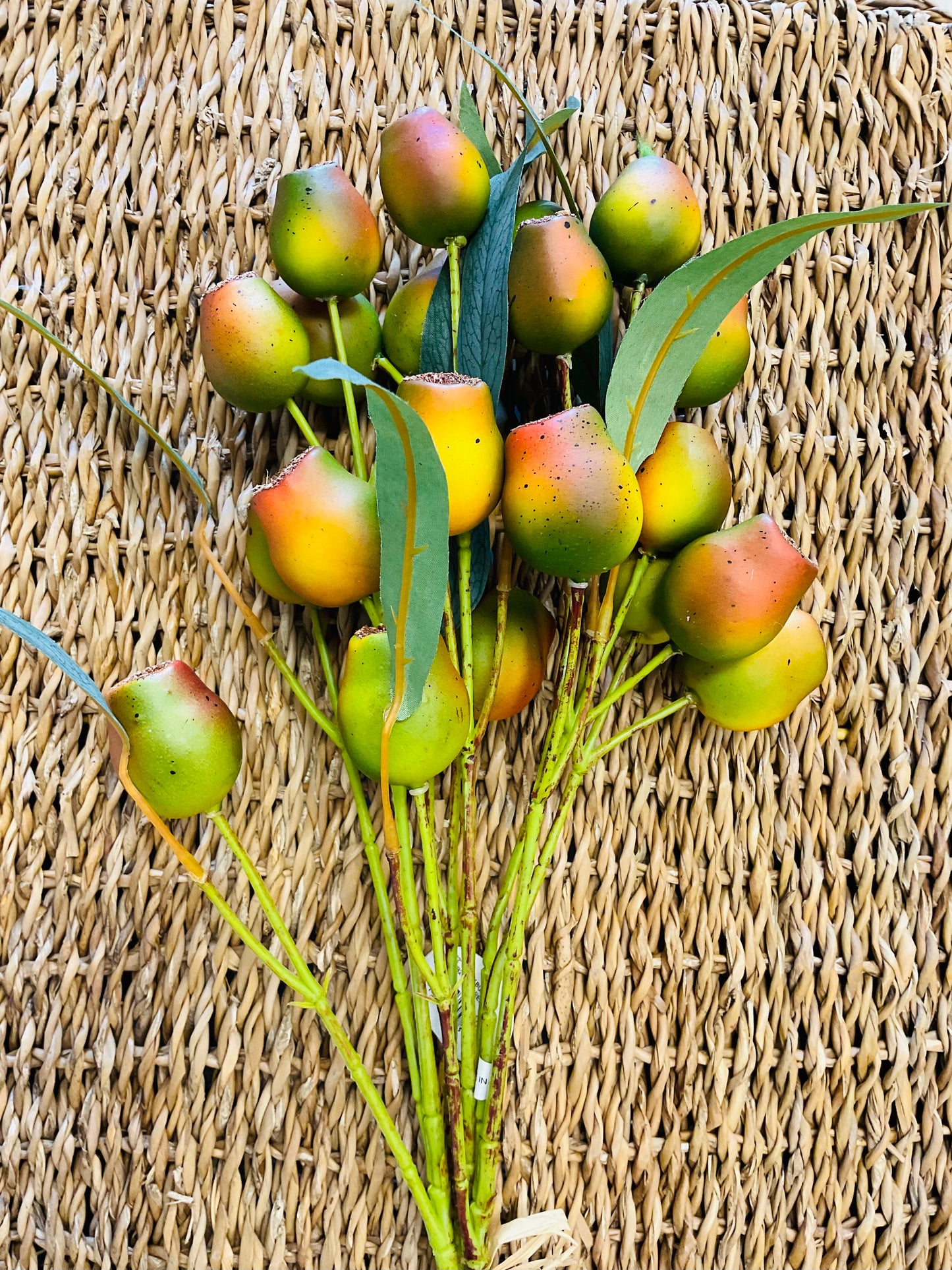 Pod Bundle - Green Red