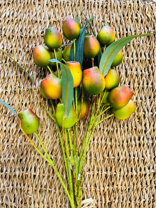 Pod Bundle - Green Red