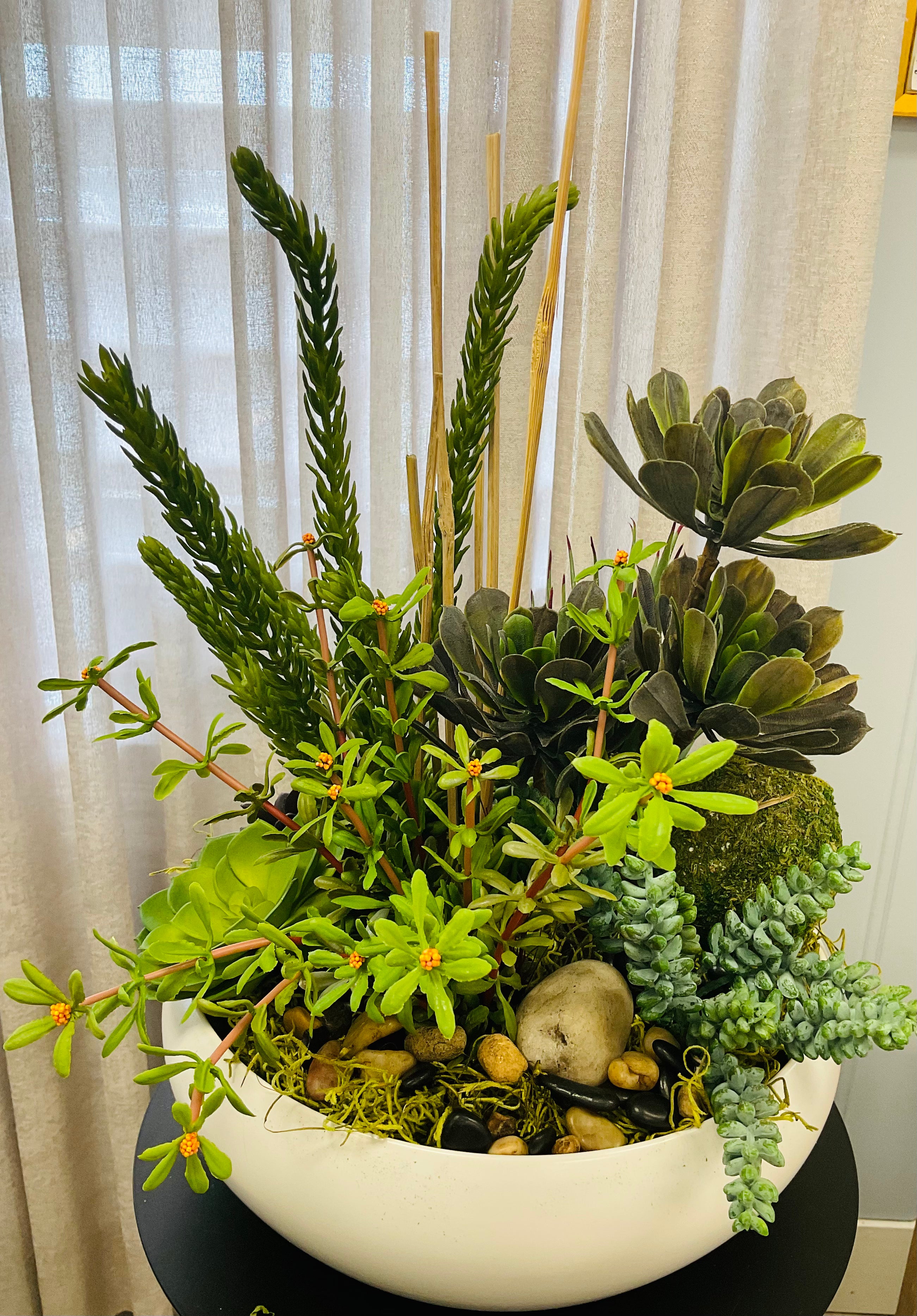 Succulent Garden Bowl