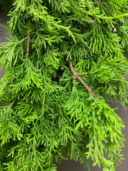 Fresh Touch Northern Cedar Wreath