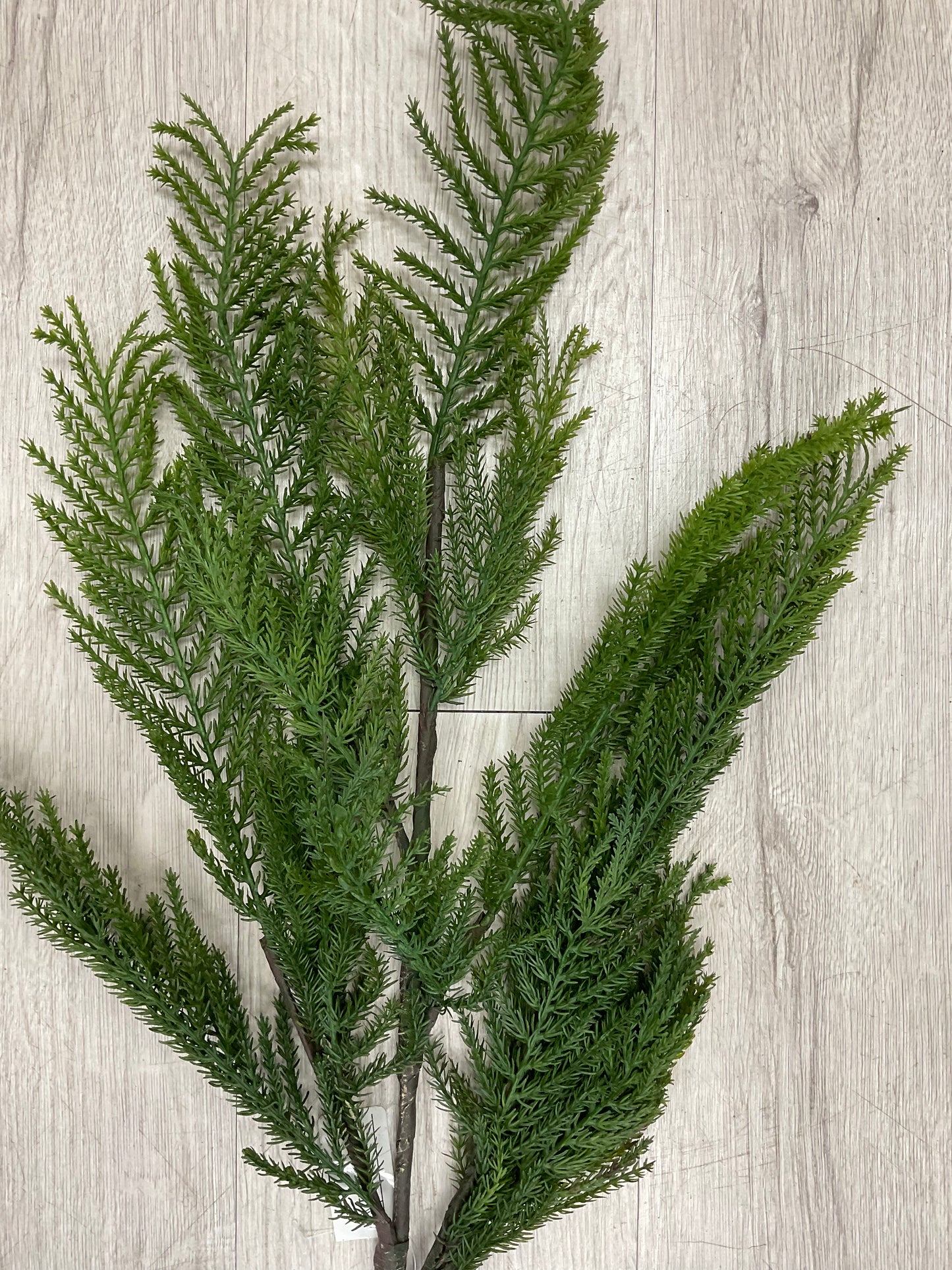 36” Fresh Touch Cypress Spray