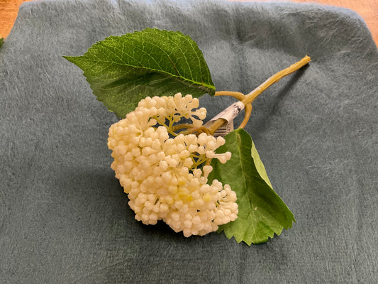 10” Cream Seeded Hydrangea