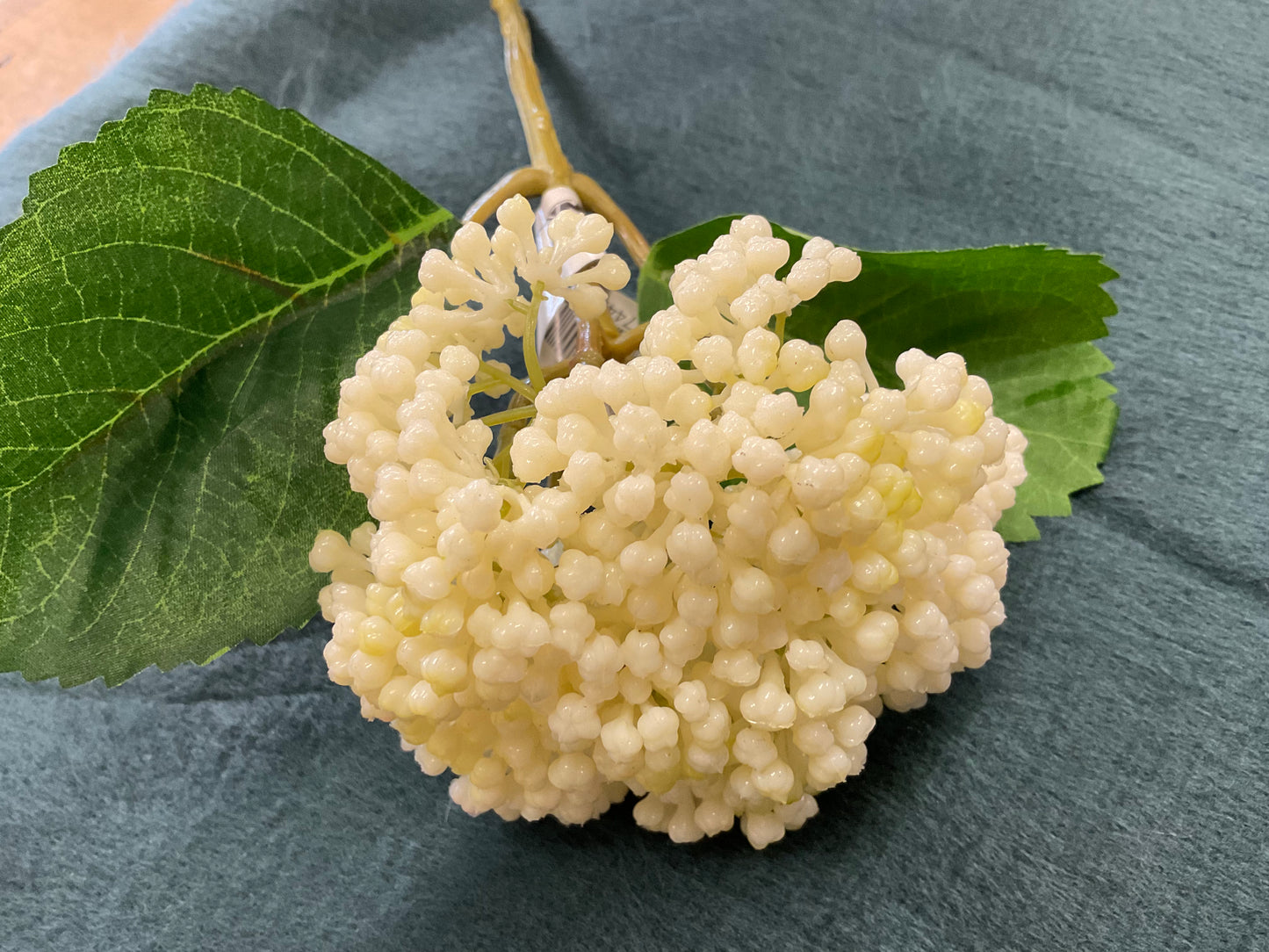 10” Cream Seeded Hydrangea