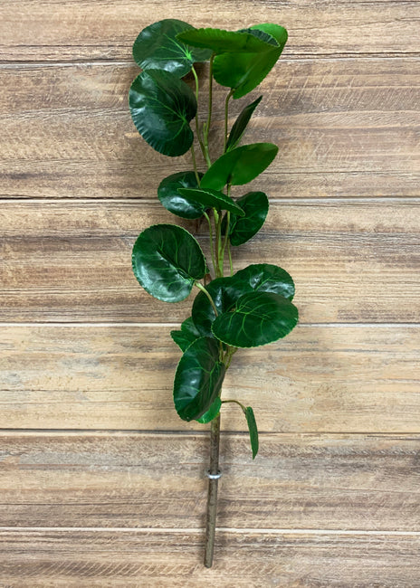 Pepermonia Leaf Spray