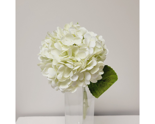 Real Touch Cream/Green Hydrangea