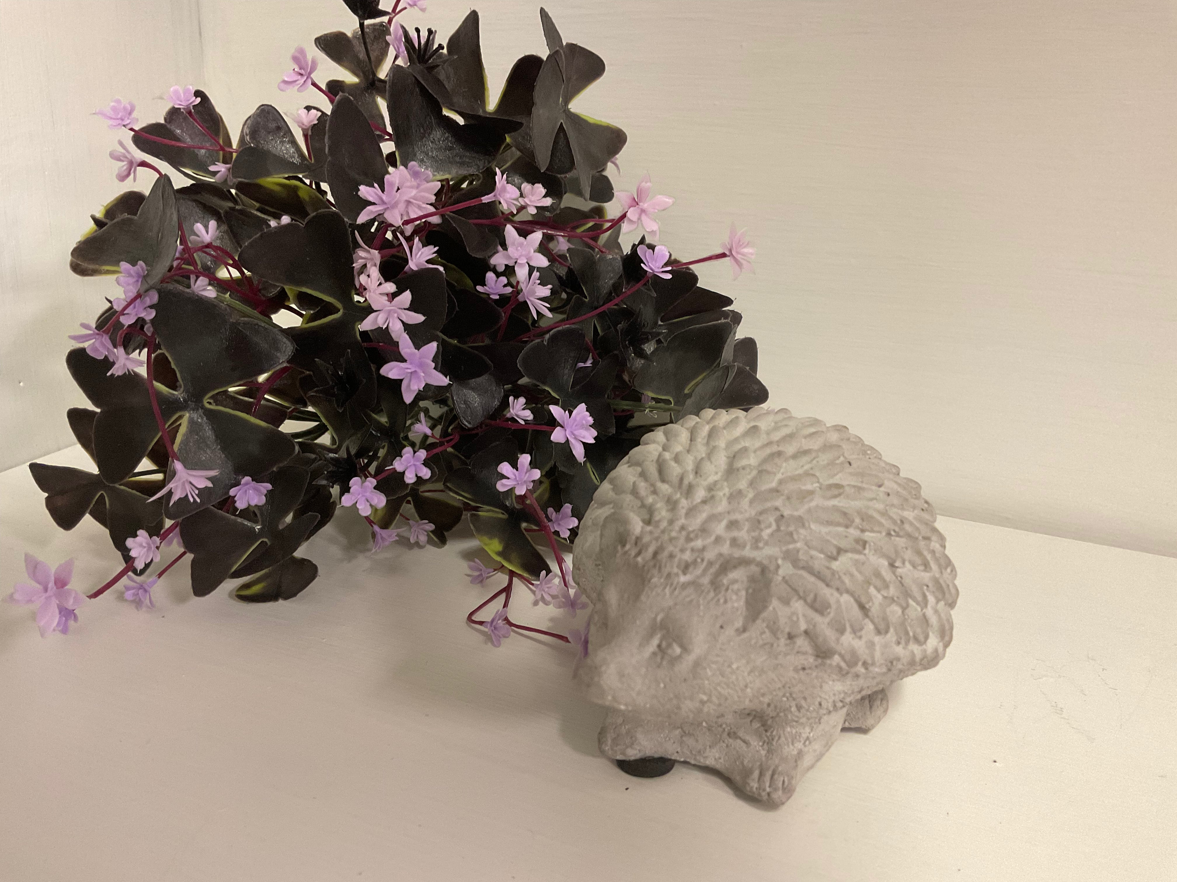 Cement Hedgehog