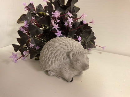 Cement Hedgehog
