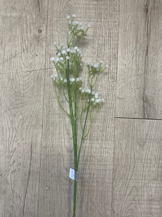 White Gypsophilia