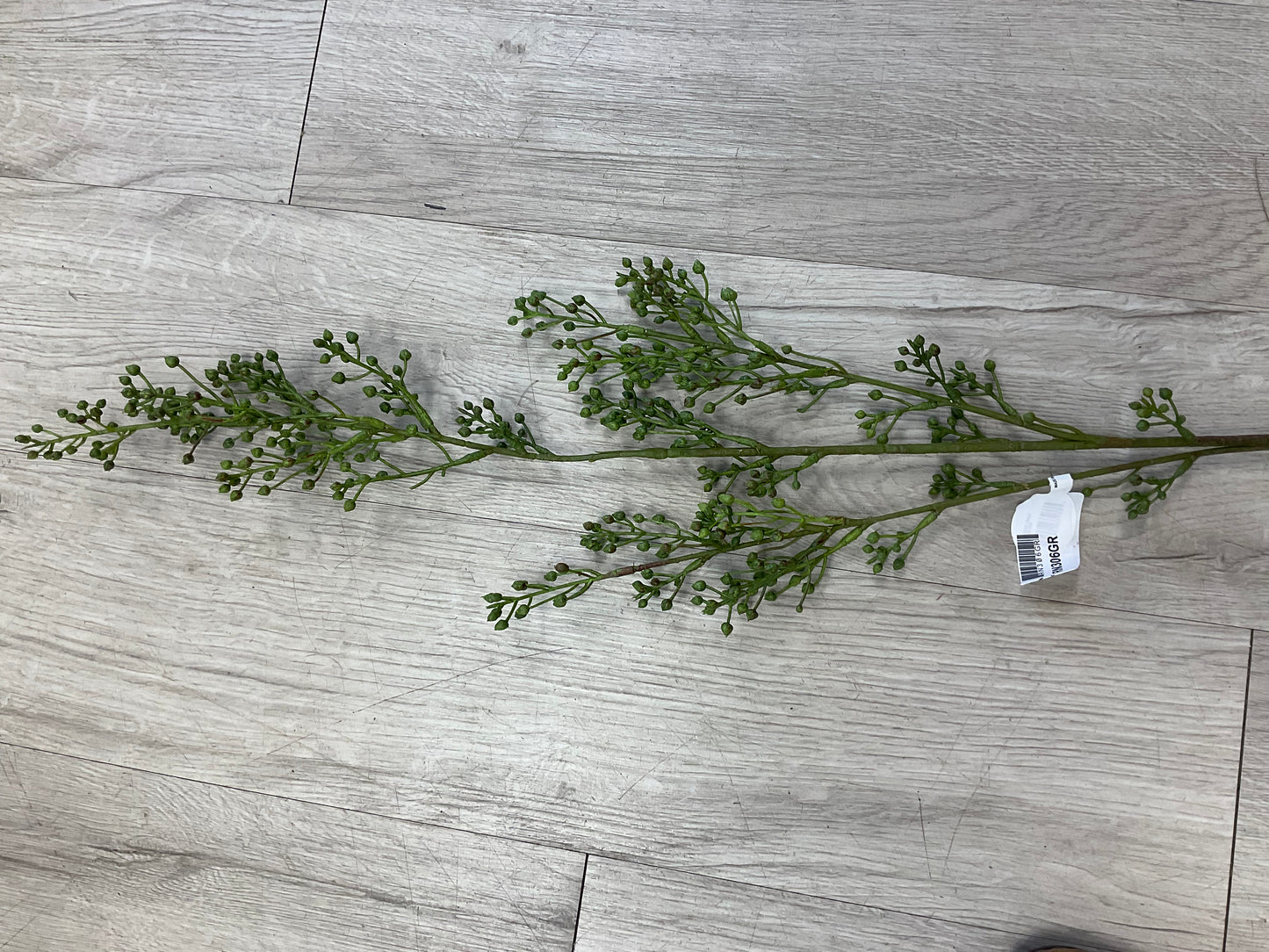 Pepperweed