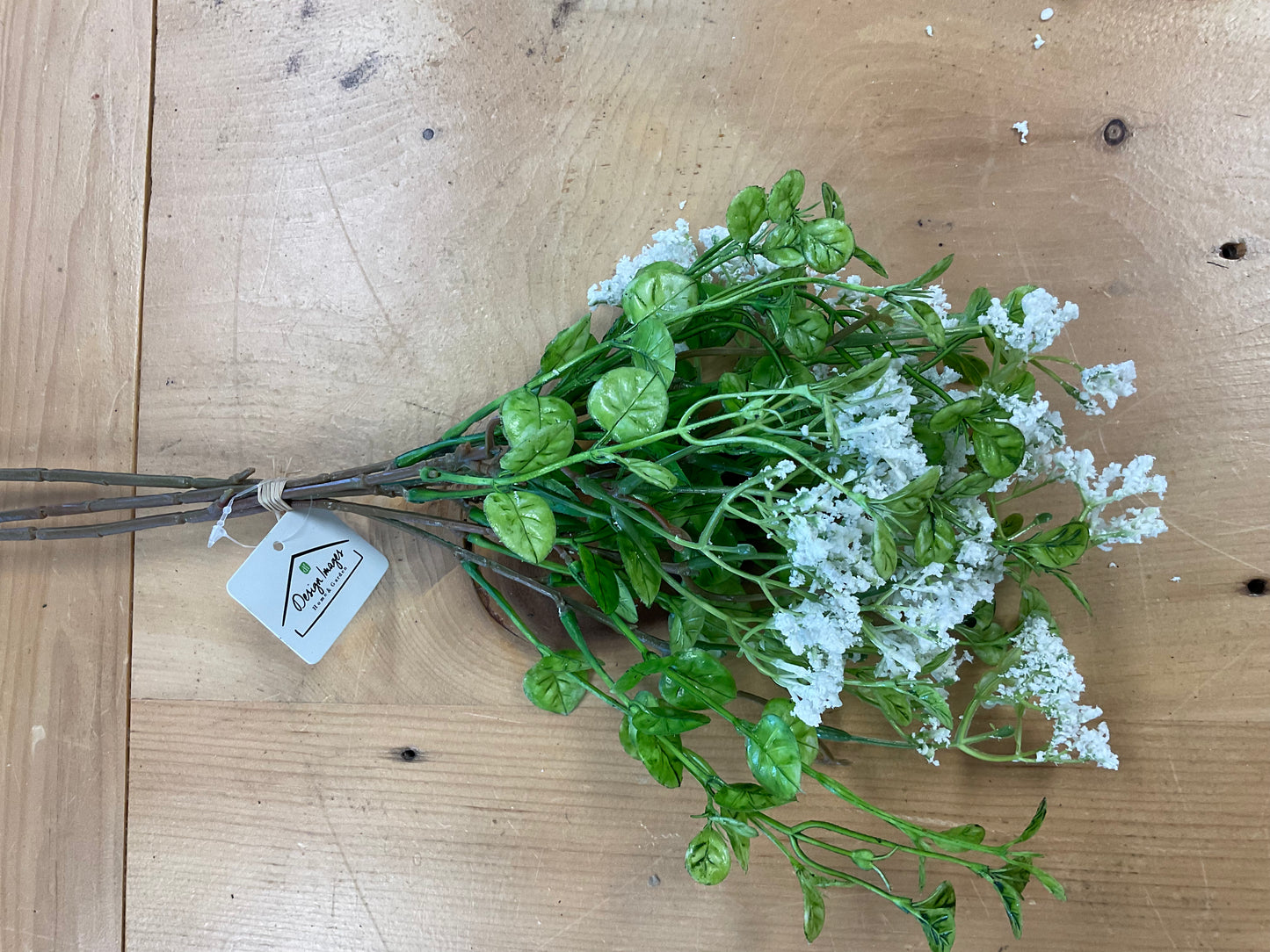 White Field Flower