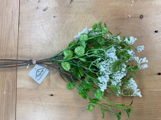 White Field Flower