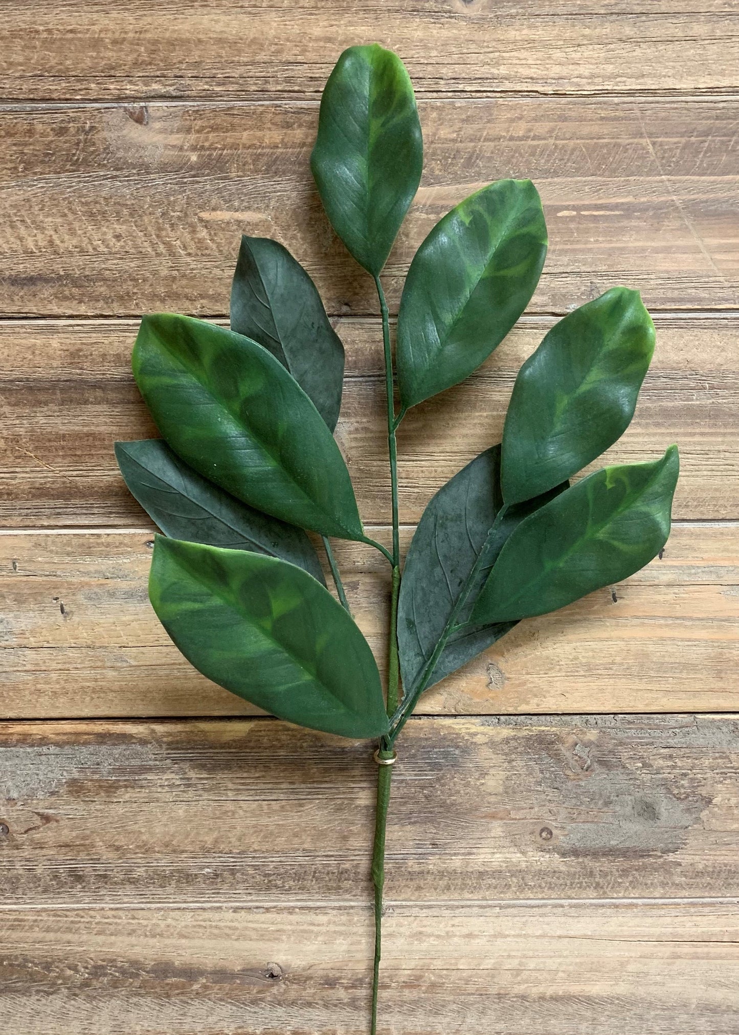 20” Magnolia Leaves Spray