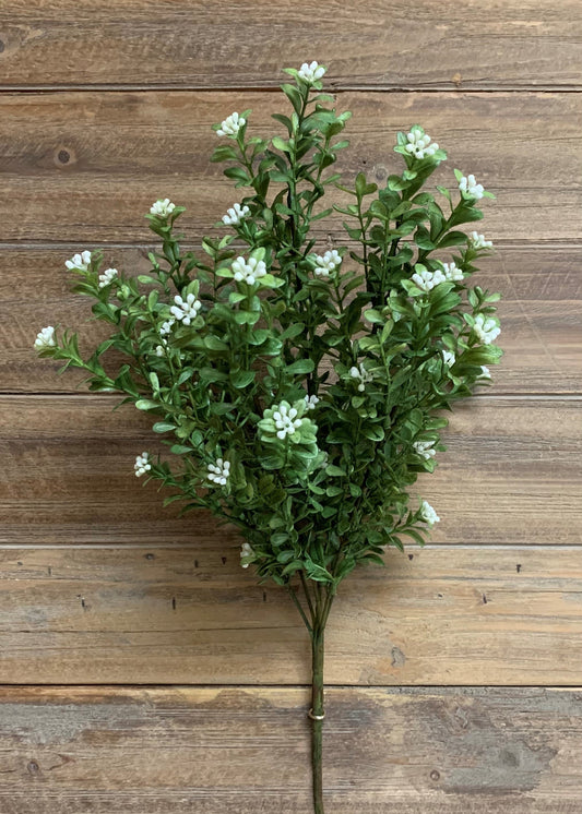 18” Modern Boxwood Bush