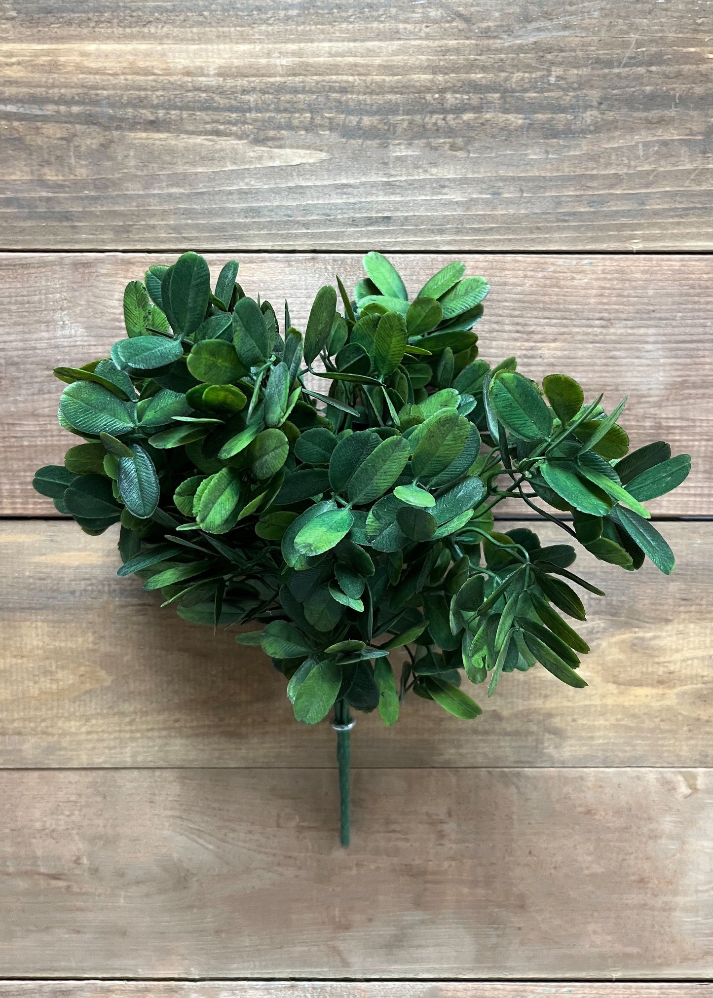 14” Green Sedum Bush