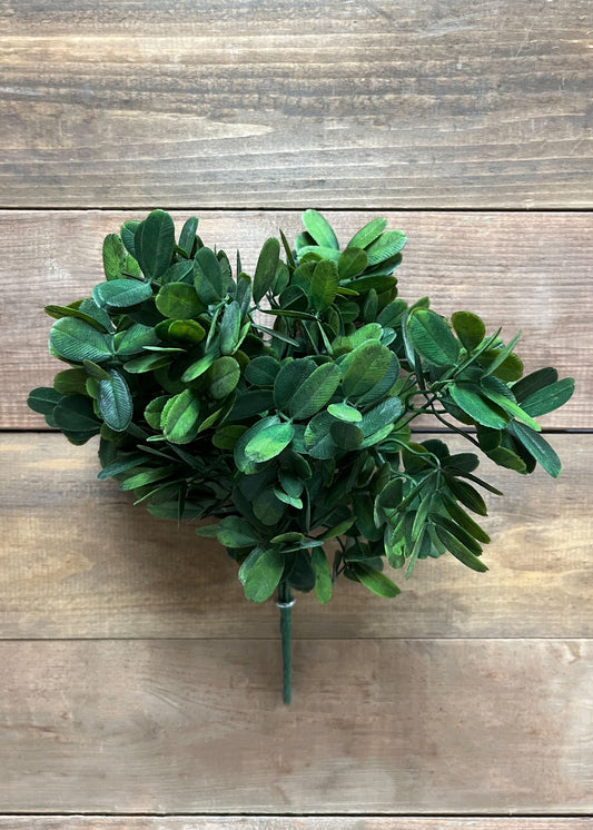 14” Green Sedum Bush