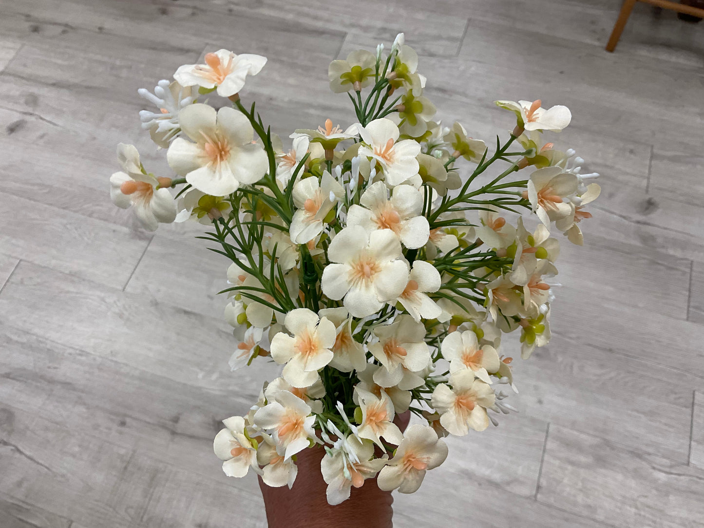 Cream Mini Daisy Bush