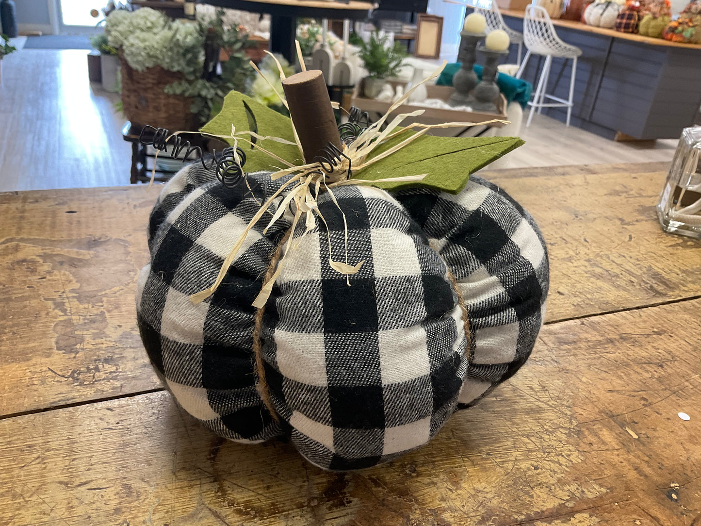 Pumpkins By Alfreda
