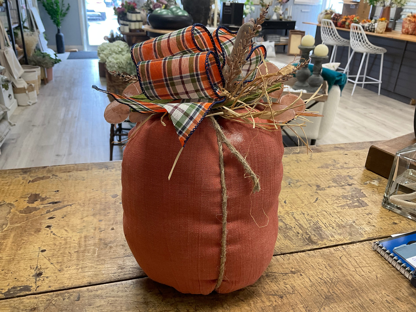Pumpkins By Alfreda