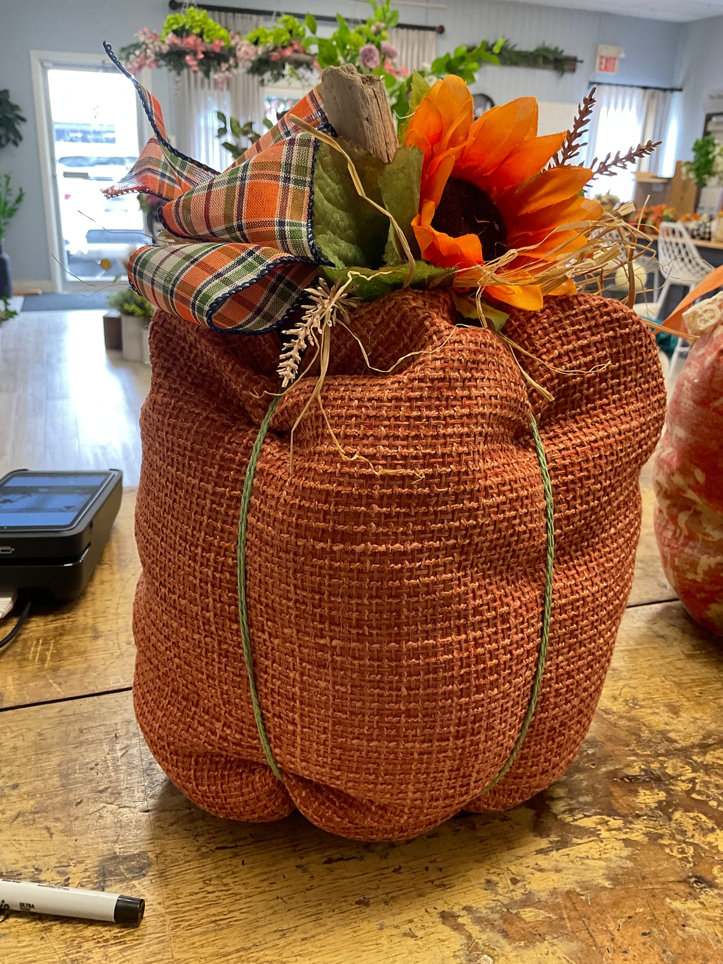 Pumpkins By Alfreda