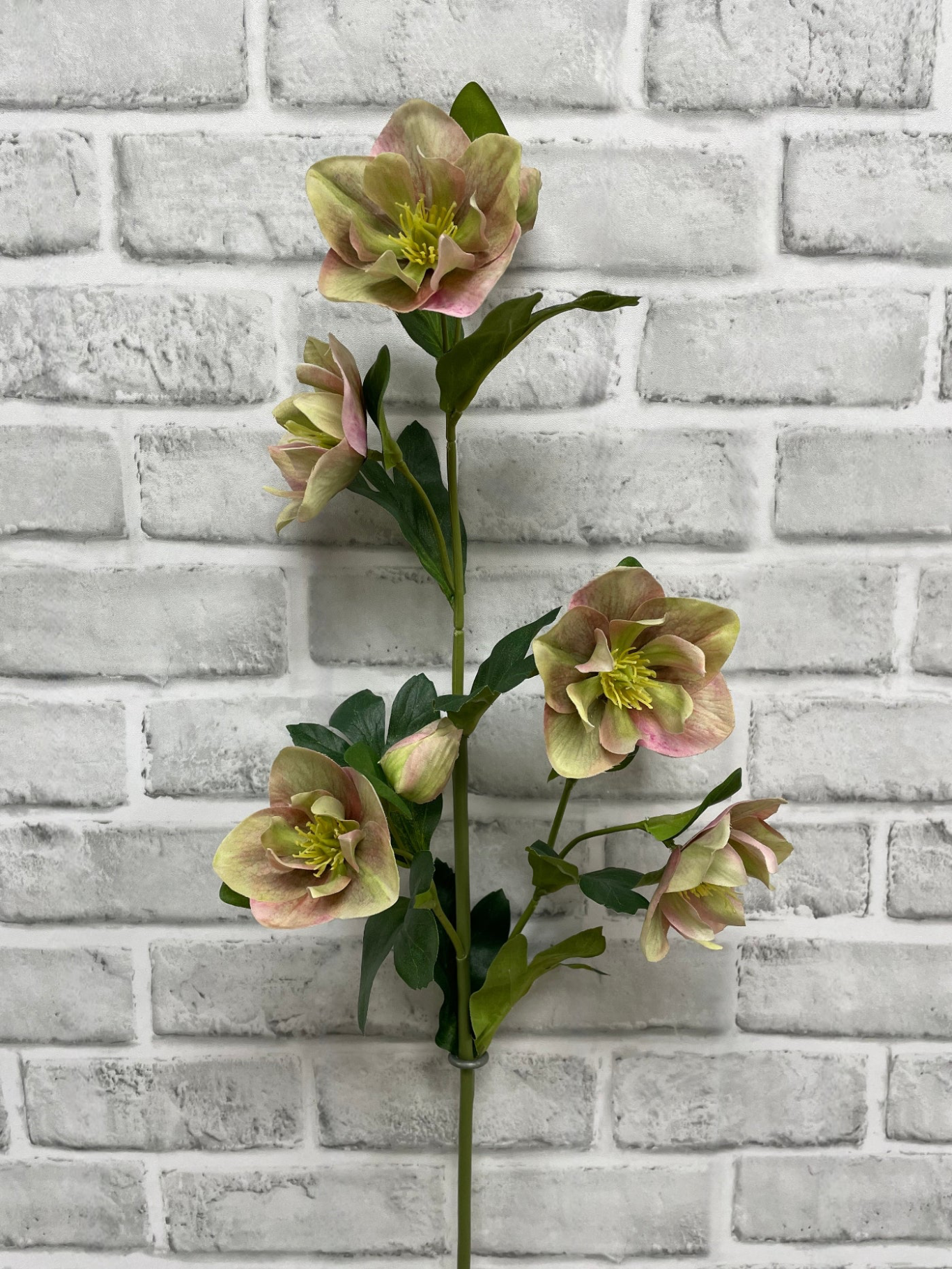 Fresh Touch Hellebore Spray