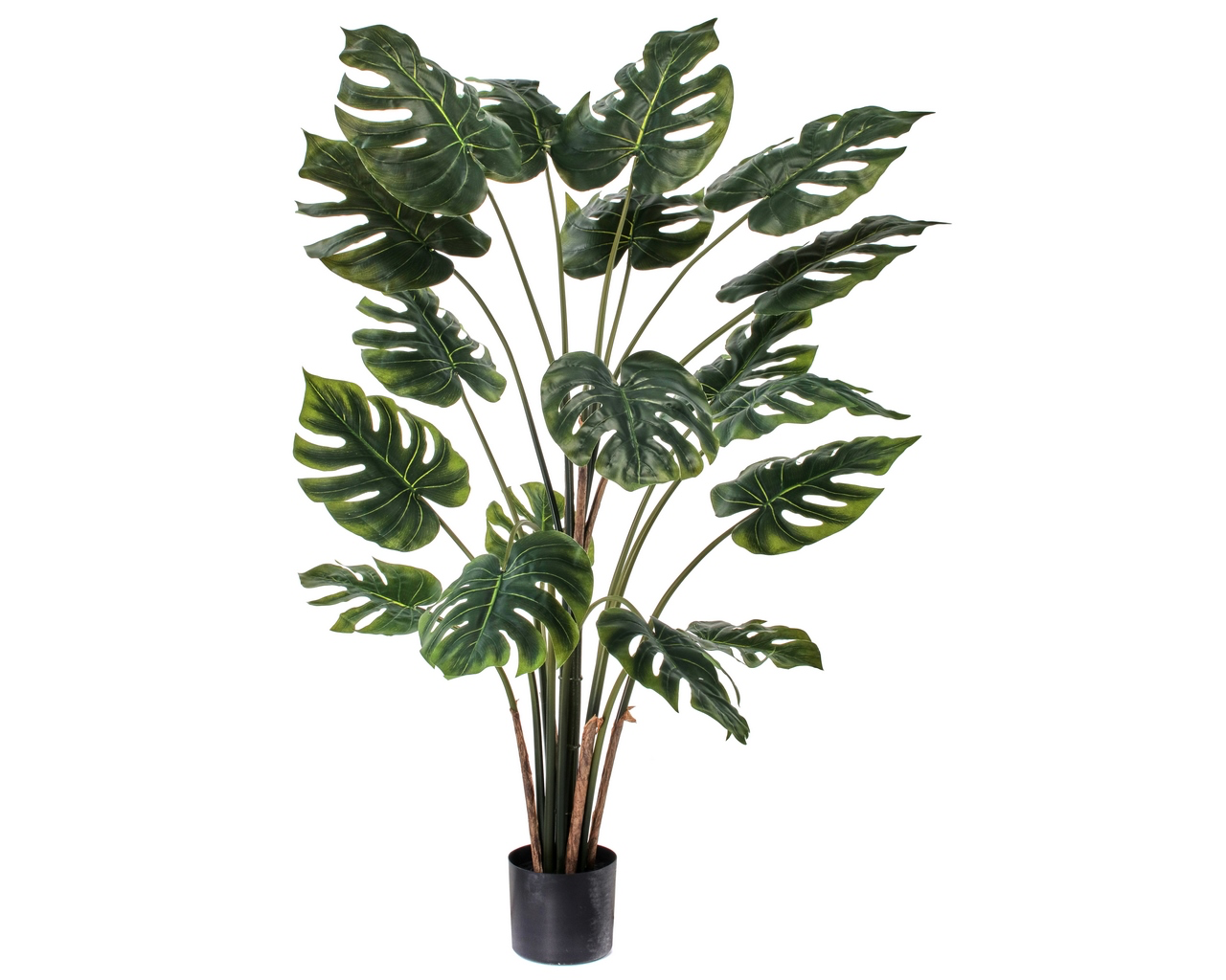 32" Potted Split Philo Plant - Green
