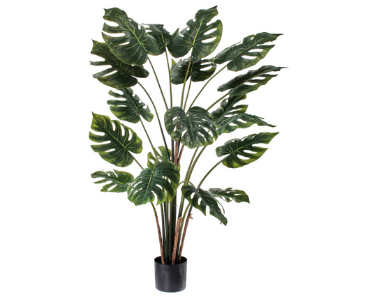 32" Potted Split Philo Plant - Green