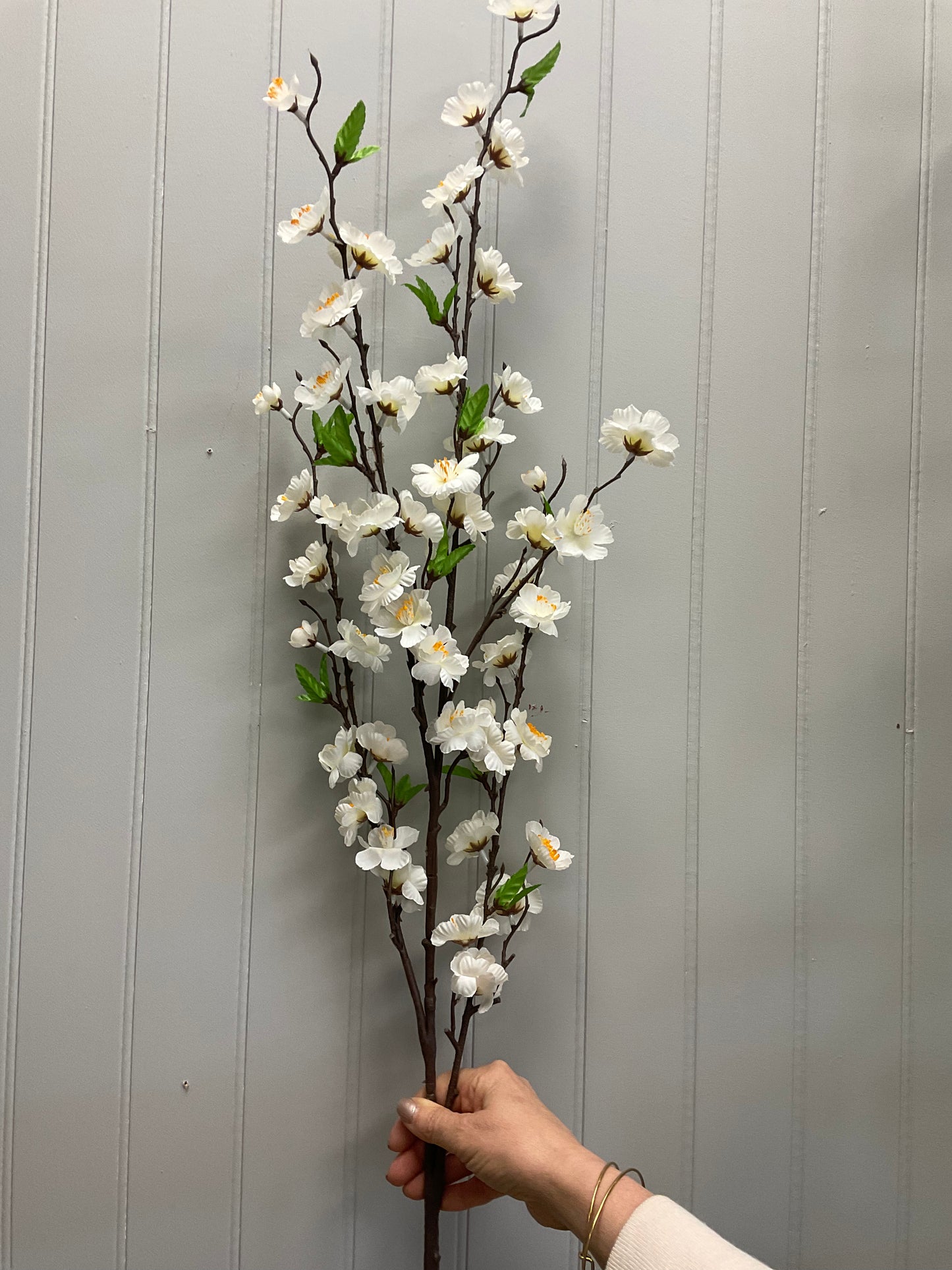 Apple Blossom Branches