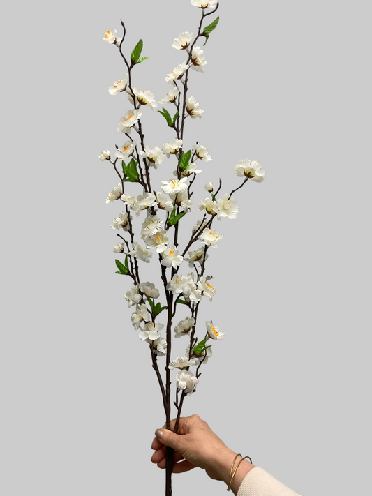 Apple Blossom Branches