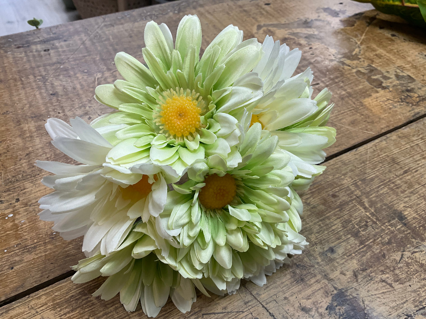 Gerbera Bundle-Cream/Green