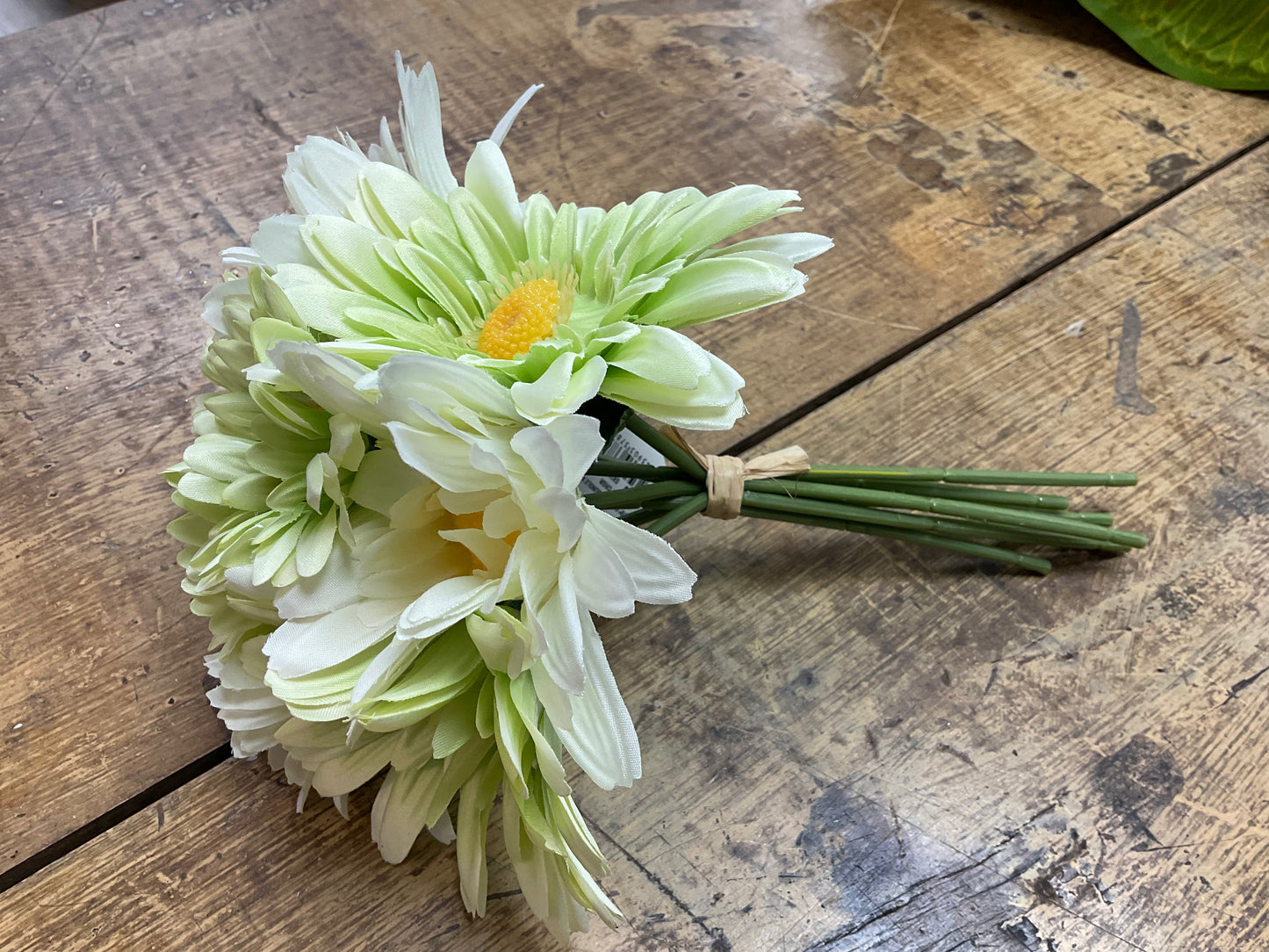Gerbera Bundle-Cream/Green