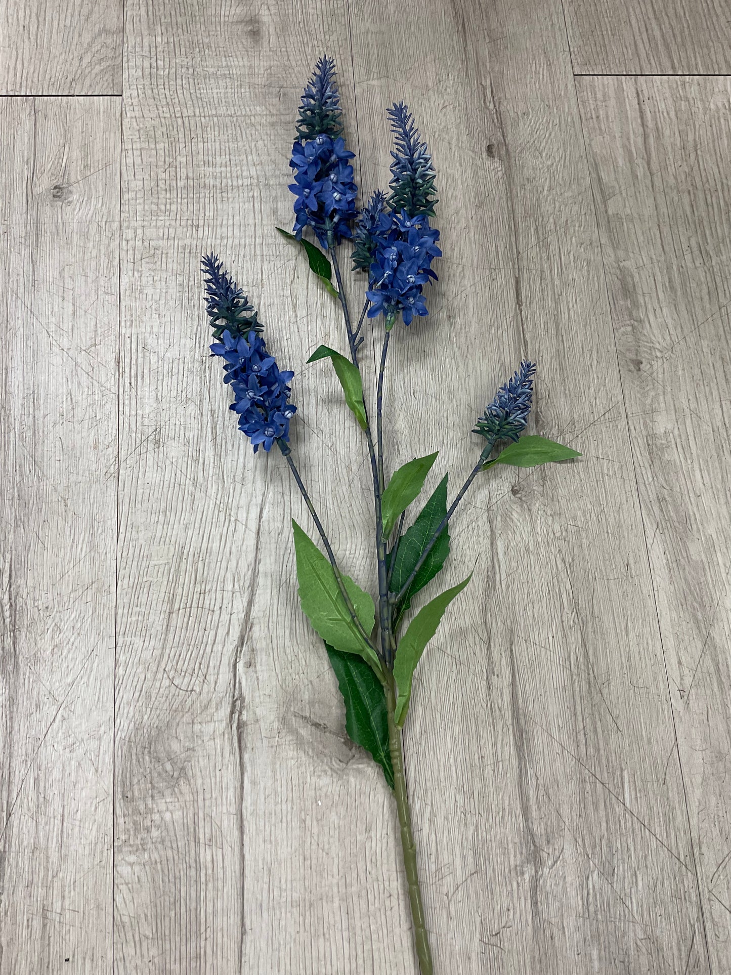 Foxtail Spray 31″