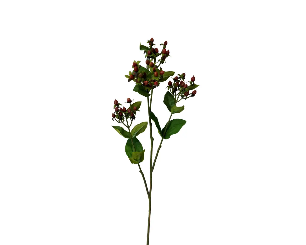 UV Protected Dark Orange Hypericum