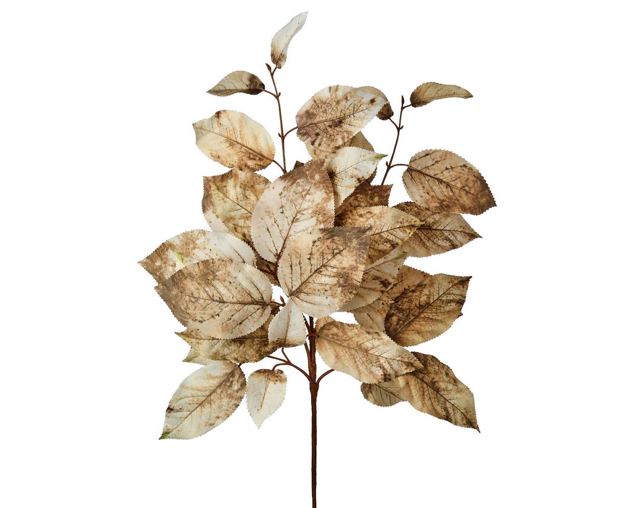 Cream / Brown Salal Leaf Stem