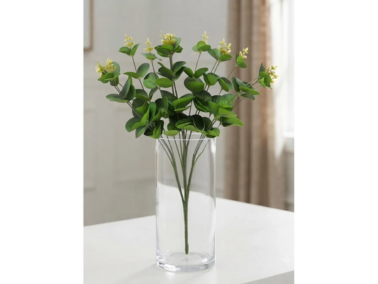Bright Green Eucalyptus Bush